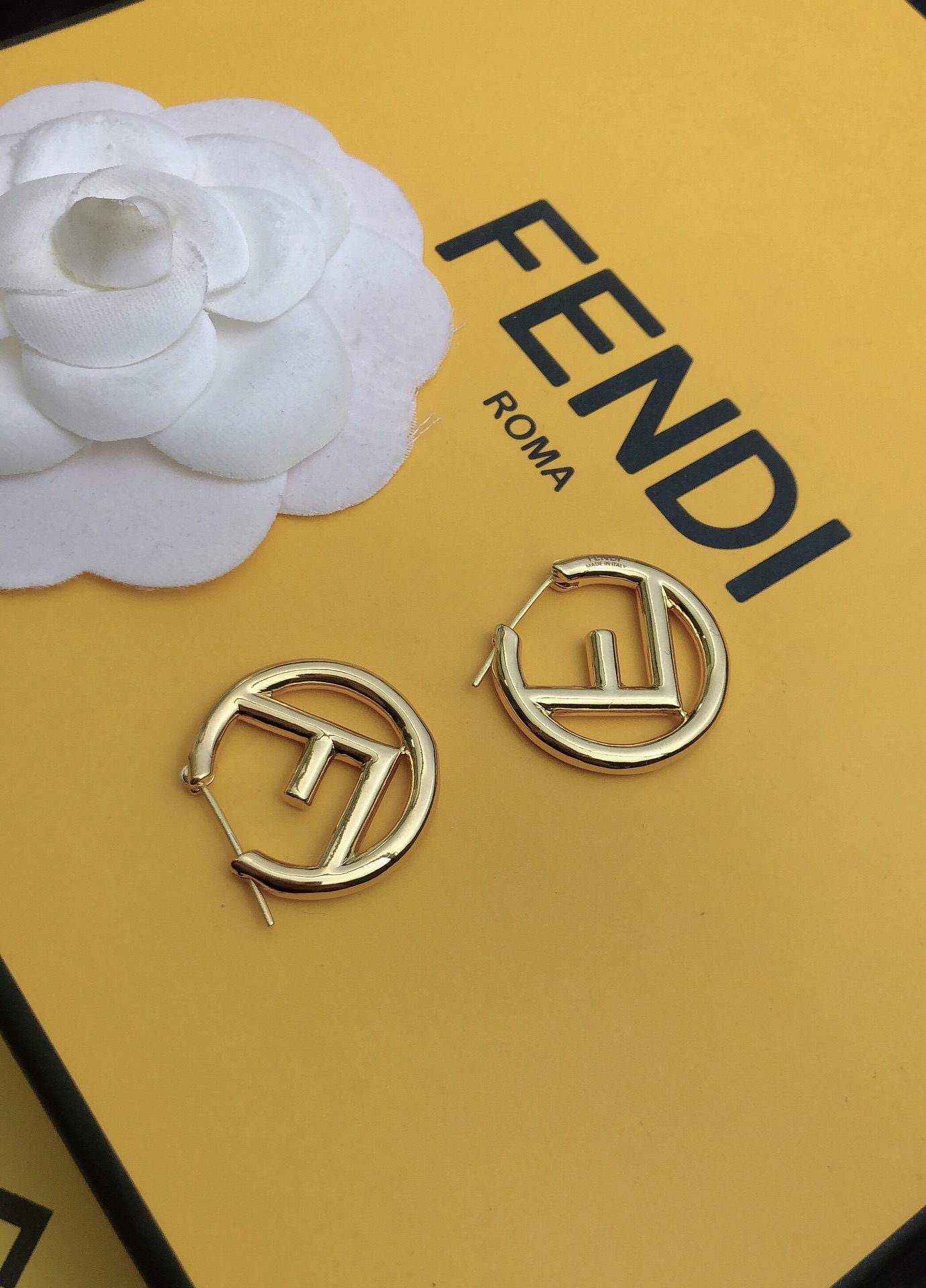 Fendi Earrings